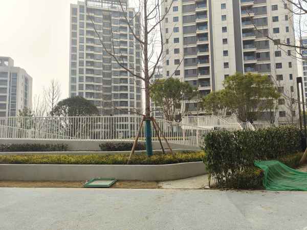 城投置地·观澜东著_项目现场_6