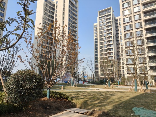 城投置地·观澜东著_项目现场_8