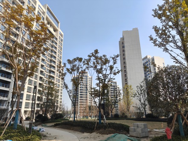城投置地·观澜东著_项目现场_9