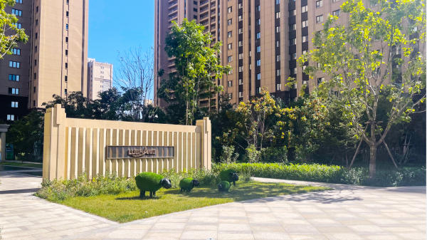 鲁商悦未来实景图