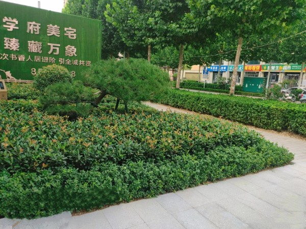 辰隆阳光小镇_实景图_2