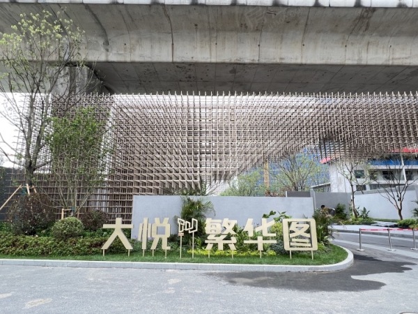 大悦繁华图实景图