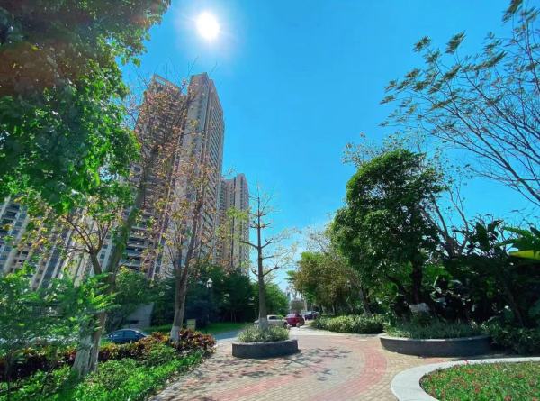 金辉路劲江山云著_实景图_2