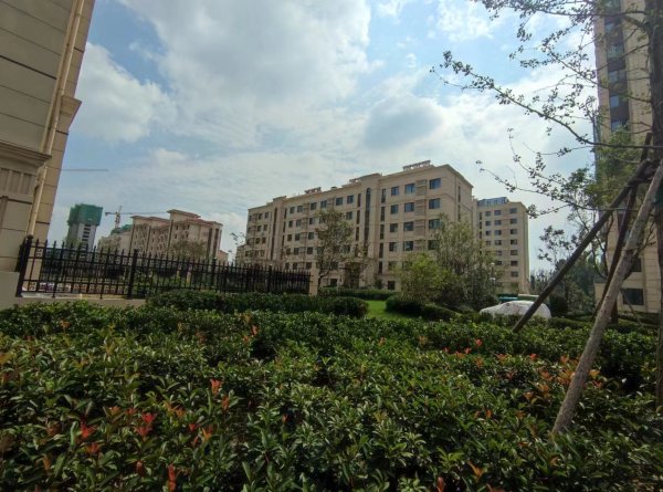 恒信东方之珠_实景图_9