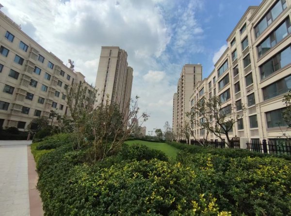 恒信东方之珠_实景图_10