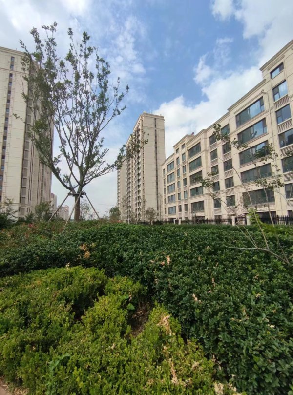 恒信东方之珠_实景图_11
