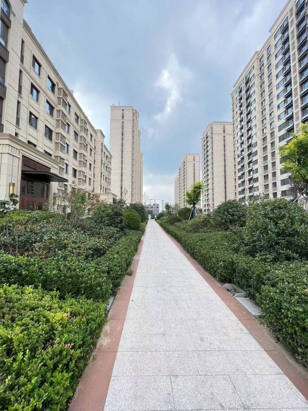 恒信东方之珠_实景图_20