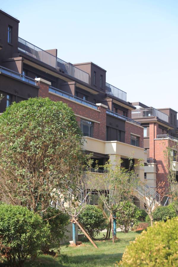 泰山佑国际生态旅游度假区_实景图_17