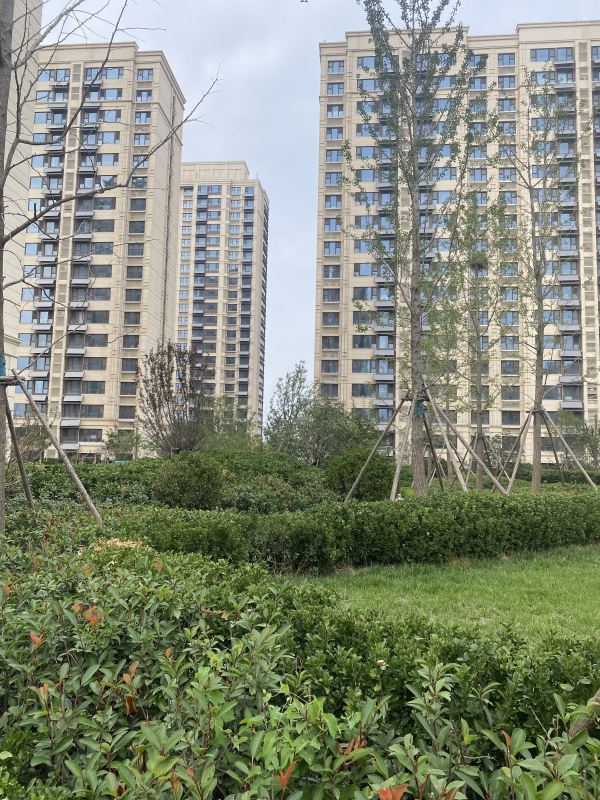恒信东方之珠_项目现场_11