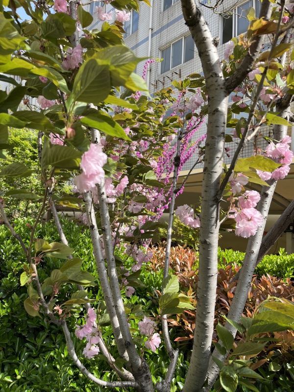 中阳国际社区_其他_2