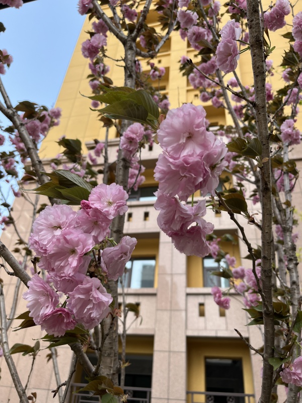 中阳国际社区_其他_5
