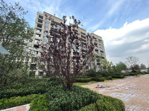 恒信风华尚品_实景图_6