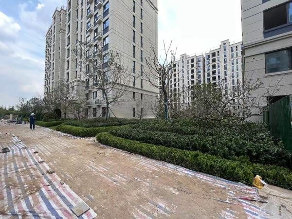 恒信风华尚品_实景图_7