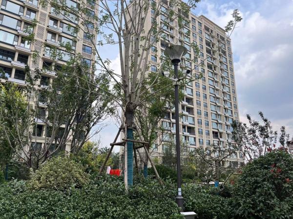 恒信风华尚品_实景图_12