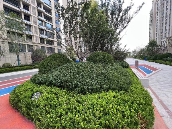 恒信风华尚品_实景图_15