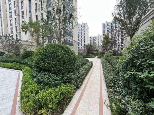 恒信风华尚品_实景图_16