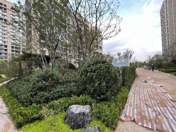恒信风华尚品_实景图_17