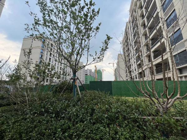 恒信风华尚品_实景图_18
