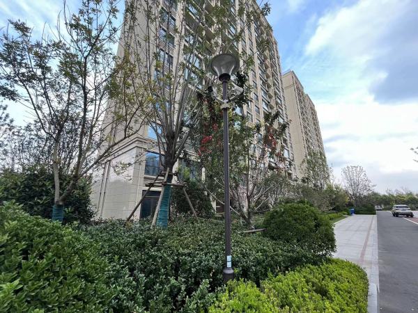 恒信风华尚品_项目现场_20