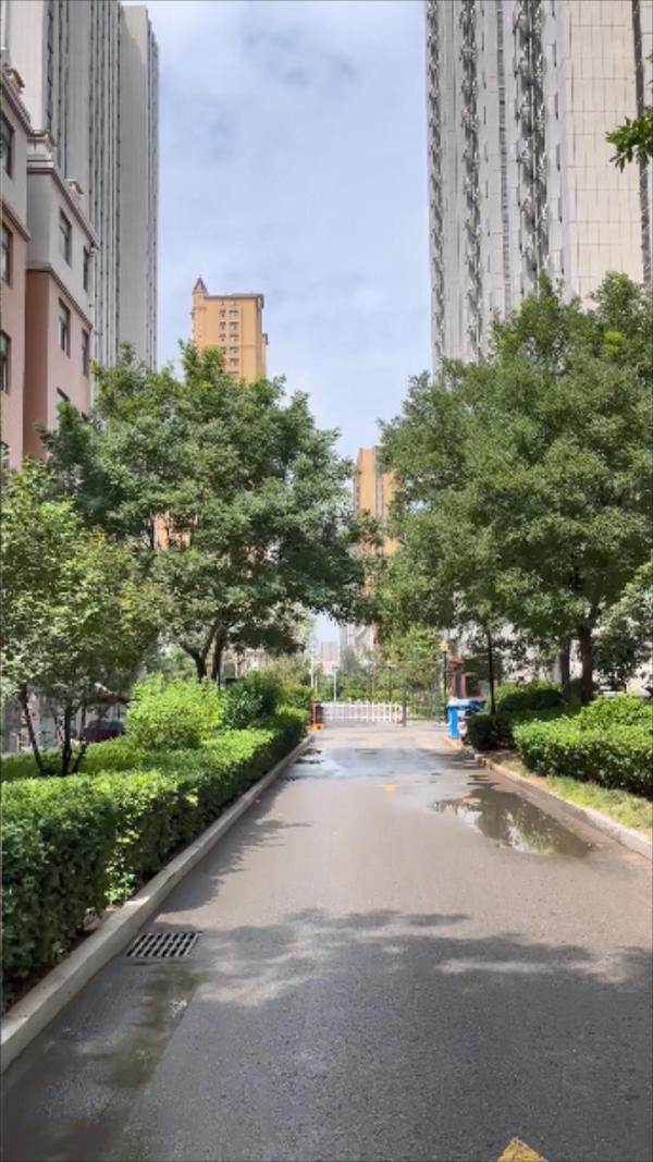 中阳东明学府_实景图_11
