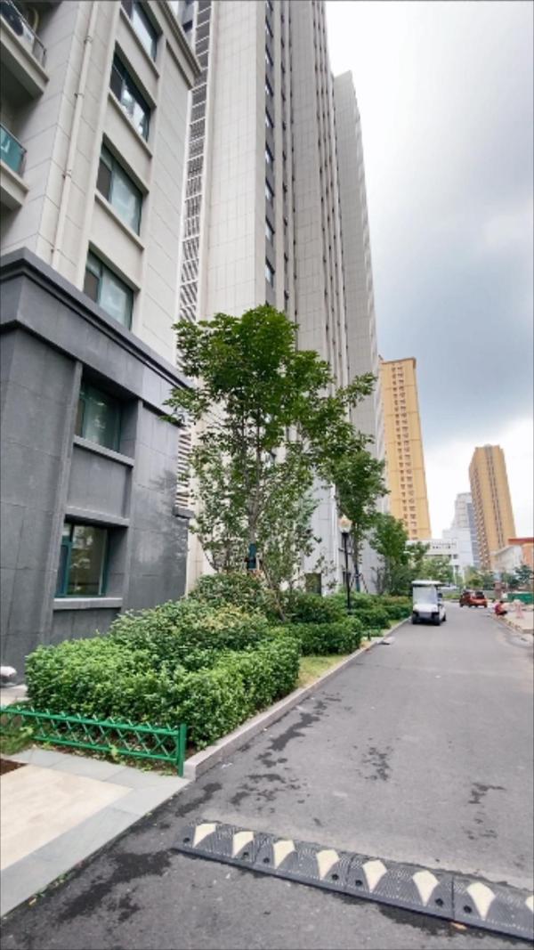 中阳东明学府_实景图_18