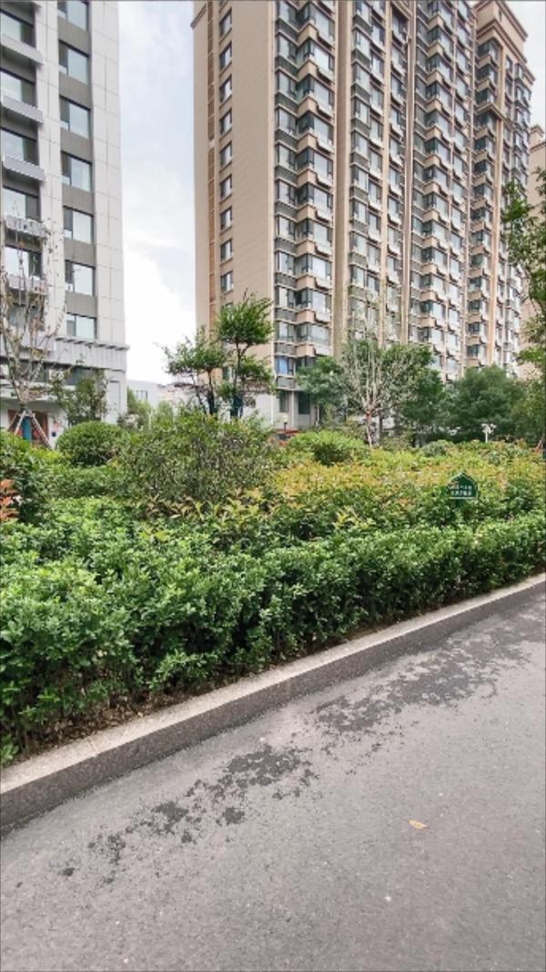 中阳东明学府_其他_3