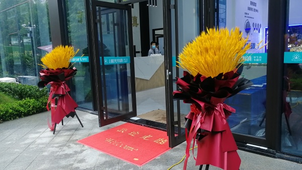 辰隆阳光小镇_项目现场_17