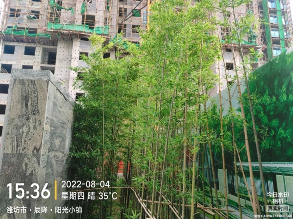 辰隆阳光小镇_实景图_11