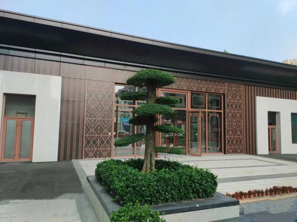 辰隆阳光小镇_实景图_12