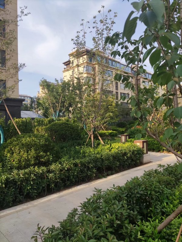 临朐富春江豐泽苑_实景图_13