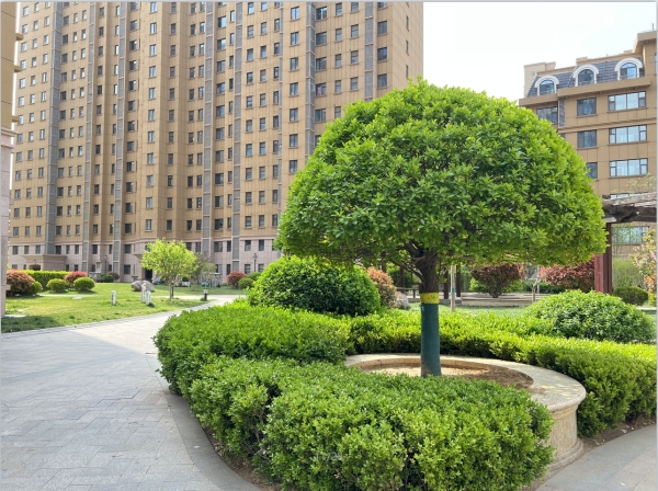 辰隆中海花园_实景图_20