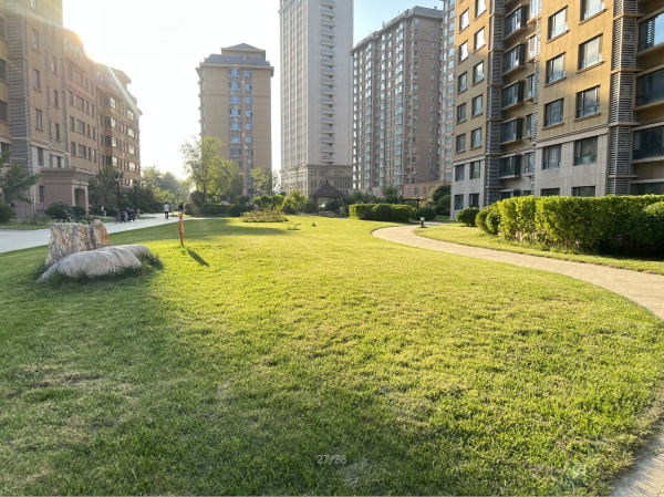 辰隆中海花园_项目现场_13