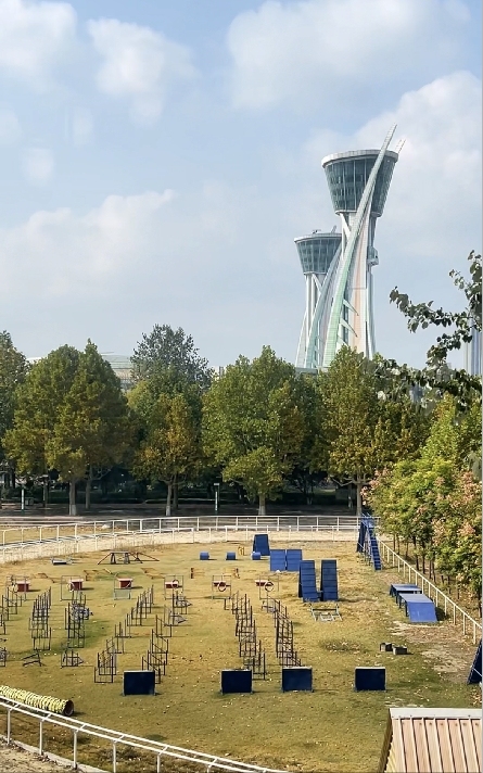 辰隆中海花园_小区配套_18