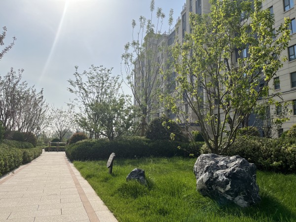 青州恒信悦府_实景图_16