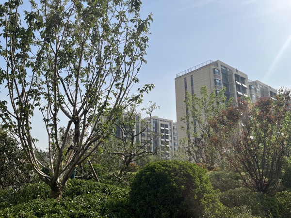 青州恒信悦府_项目现场_3