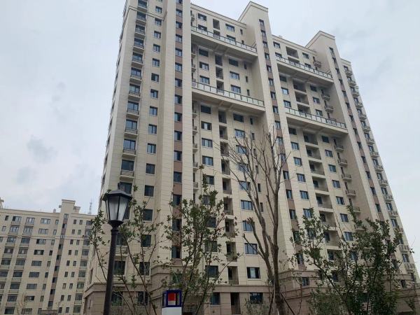 雅柏文一号公馆_项目现场_7