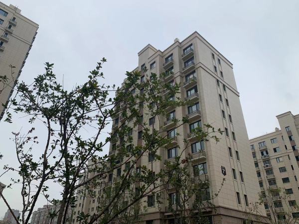 雅柏文一号公馆_项目现场_10