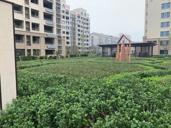 雅柏文一号公馆_项目现场_18