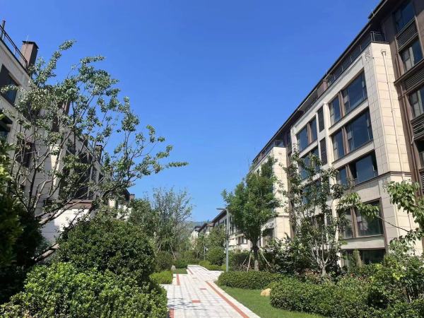 青州恒信望岳府_项目现场_4