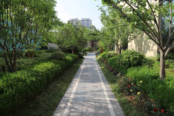 邦泰玖宸府_实景图_1
