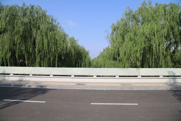 邦泰玖宸府_实景图_15