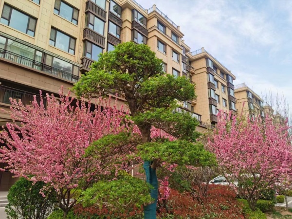 澳城花园_效果图_16
