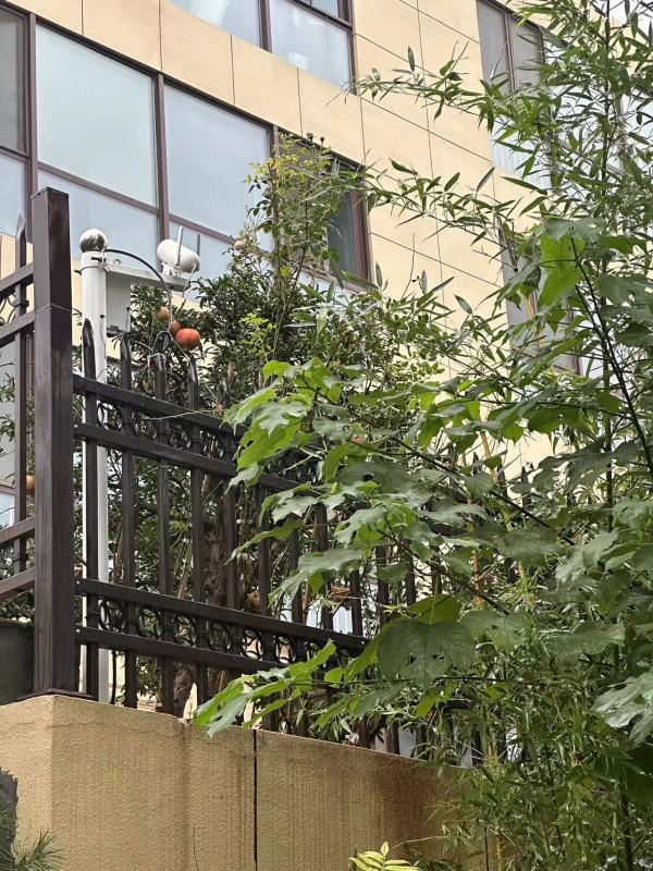 舜兴东方_项目现场_8