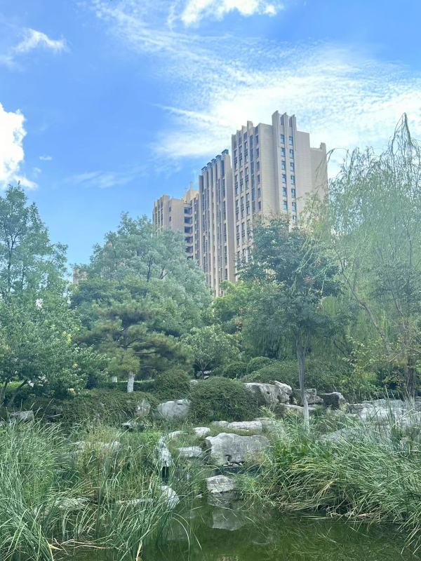 舜兴东方_实景图_6