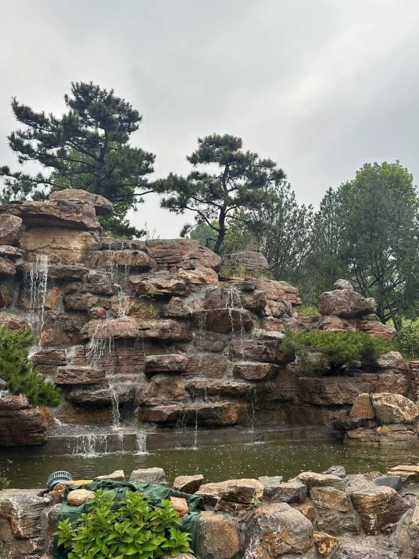 舜兴东方_实景图_11