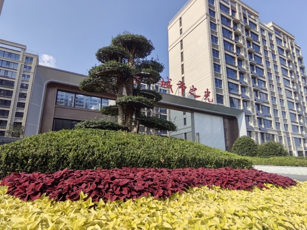 恒信城市之光_实景图_3