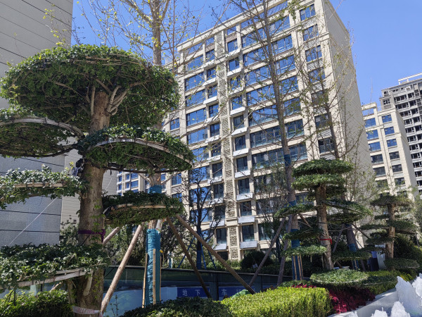 恒信城市之光_实景图_8