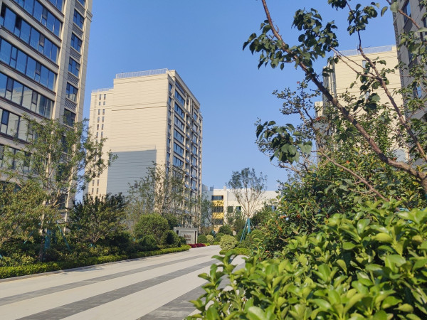 恒信城市之光_实景图_11