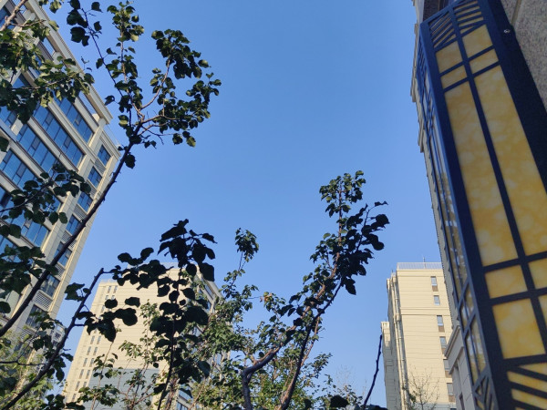 恒信城市之光_实景图_13