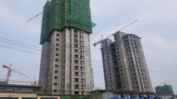 潍坊博裕学院_实景图_1